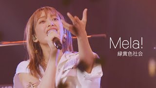 [자막] 녹황색사회(緑黄色社会) - Mela! 라이브 live