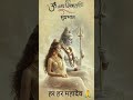 🙏🙏🌻🌻🙏🙏