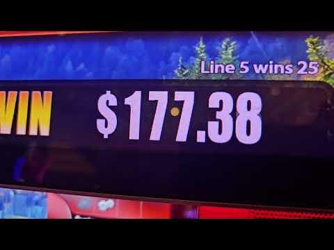 GRAN SORTEO PELUCHE REACTOONZ. CASINO EN VIVO DESDE COOLBET CHILE. LINK EN LA DESCRIPCION DEL VIDEO