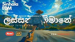 Download Lagu Lassana Gammane | ලස්සන ගම්මනේ | EDM Cover– Curry Island EDM Remix | Mervin Mihidukula MP3