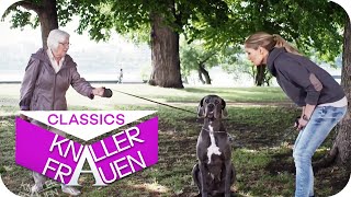 Pfui! Böser Hund