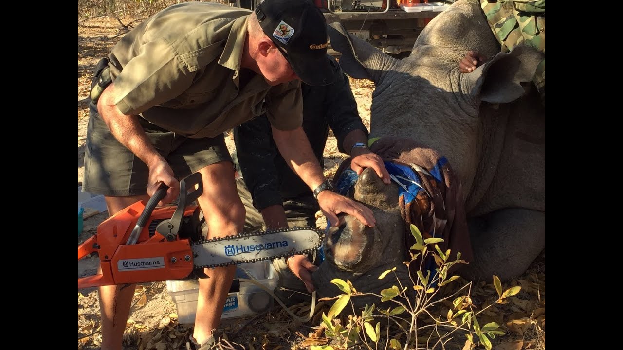 ‘Dís hoekom ons renosters onthoring ...’ vermaak vacancies 2018