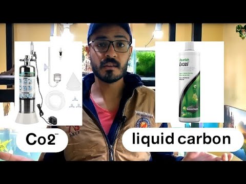 فيديو: لماذا يقال أن ثاني أكسيد الكربون هو السائد؟