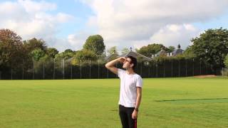 Final Animal Planet Ident Bird