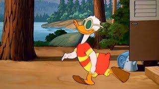Trailer Horn | A Donald Duck Cartoon | Have a Laugh!