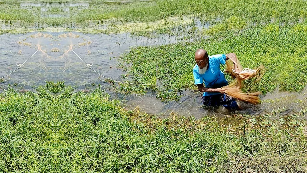 Very Amazing Skill Cast Net Fishing In River - Traditional Net Fishing Video - Best Cast Net Fishing
