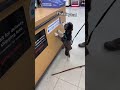 Cute puppy gets to pick out her own treat at the store.