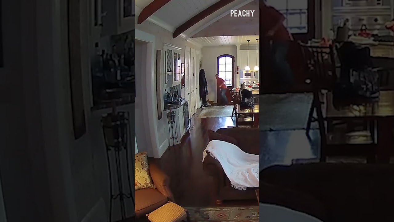 My husband screamed like a child & left me! 😂 #CCTV #fails #funny #bat #shorts