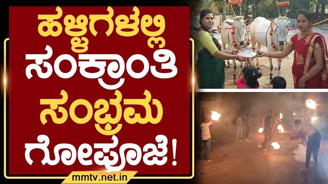 ಹಳ್ಳಿಗಳಲ್ಲಿ ಸಂಕ್ರಾಂತಿ ಸಂಭ್ರಮ, ಗೋಪೂಜೆ ! | ಚಿಕ್ಕಬಳ್ಳಾಪುರ @MM TV 15-01-2026