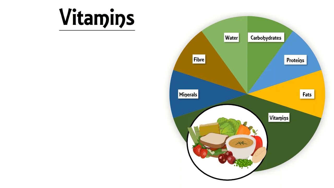 Balanced Diet & Nutrients - YouTube