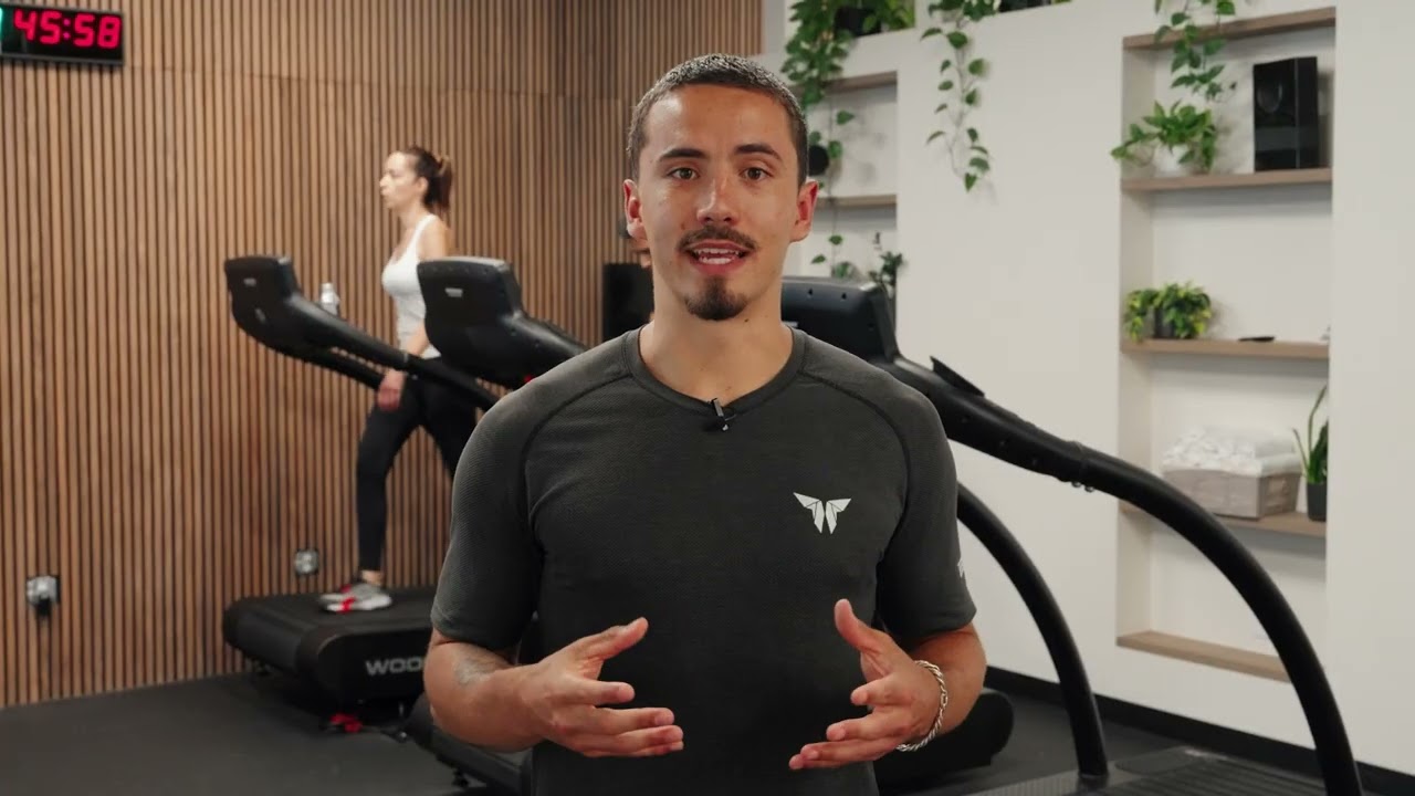 Explore the Monarch Ecosystem