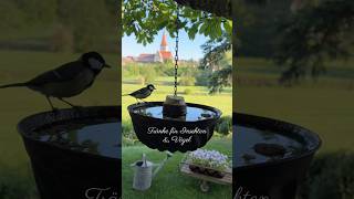 DIY Vogeltränke &amp; Insektentränke aus Gugelhupf Form, schnell zu reinigen