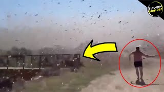 10 Serangan Serangga Paling Menakutkan Di Dunia