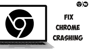 How to Fix Chrome Crashing on Windows 11/10