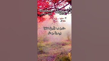 سورة آل عمران - قل أؤنبئكم بخير من ذلكم للذين اتقوا عند ربهم جنات - تاريخ اليوم