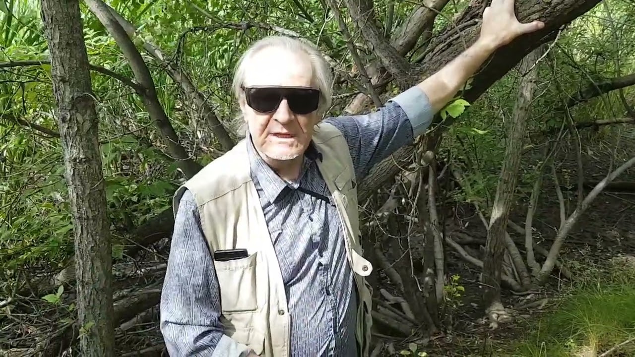 40 Days With No Timo the Cat