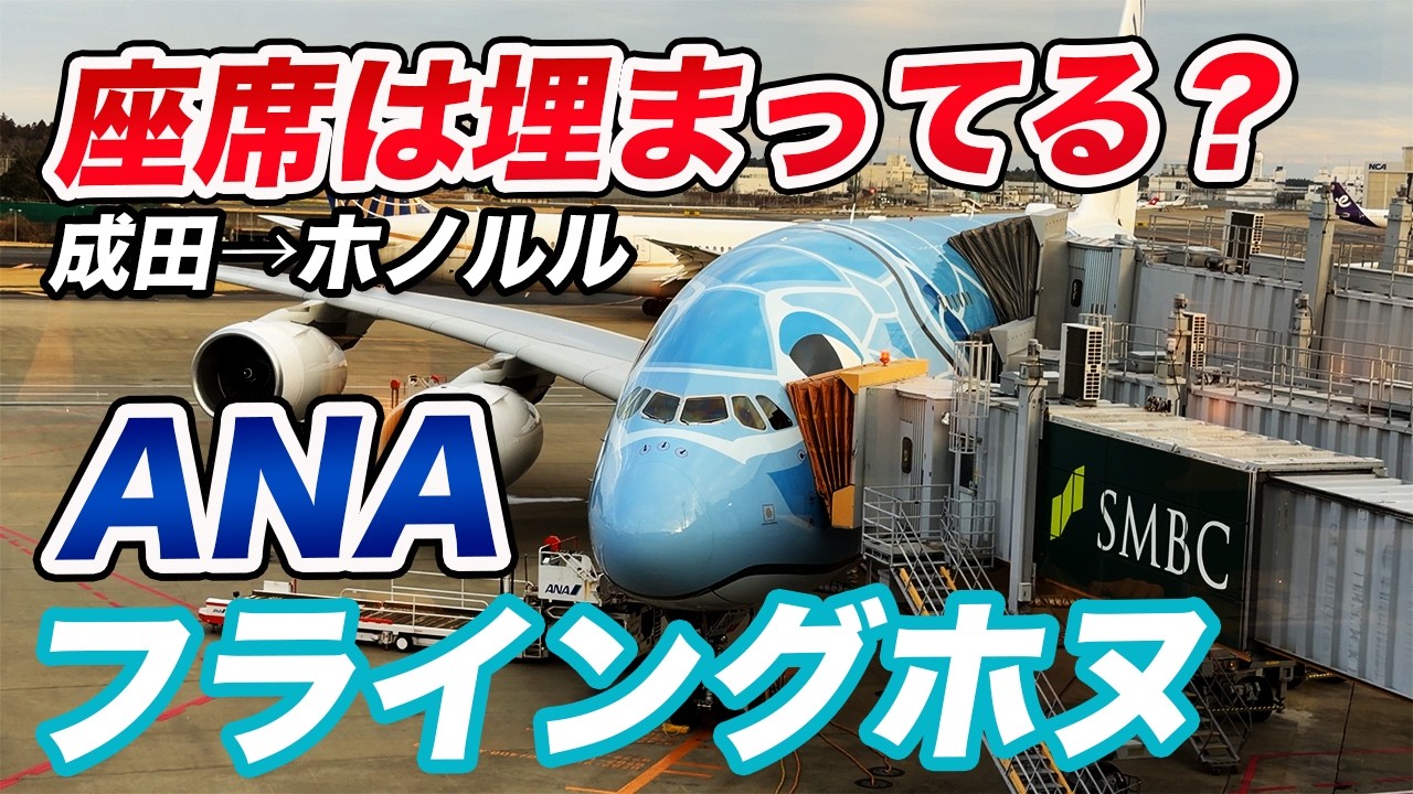 2026 Latest] ANA Flying Honu Flight Review! Are the seats filled