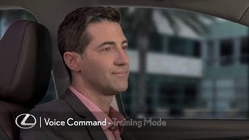 Voice Command: Training Mode (CY15)