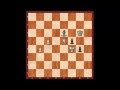 (Chess Draw Variations) - حالات التعادل في الشطرنج