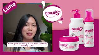 How to wash a cat without shampoo... A no rinse mousse solution for cat skin care.