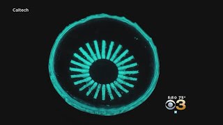 Light Emitting Contact Lens Being Developed To Treat Common Cause Of Vision Loss