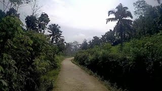 JALAN DESA Binangun Karanggayam Kebumen