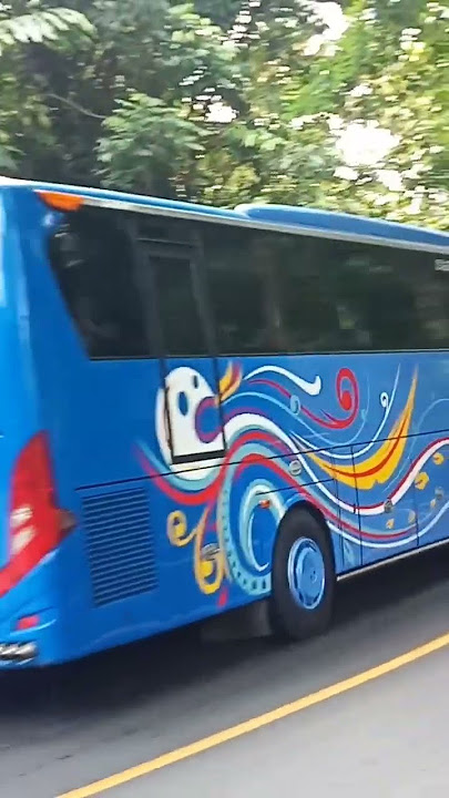 Bs Guvili polos basurinya dav gacornya ga ketulungan #busbasuri #shorts #videoviral #nadaviral