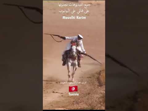 الفروسية القليدية التونسية