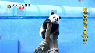 20140724 20 00 11 774 D383