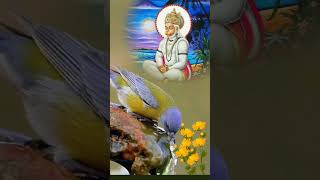 Download Lagu Kabhi Pyase Ko Pani Pilaya Nahin baad Amrit pilane se kya fayda#🌺🌺🏵🏵💦💦 MP3