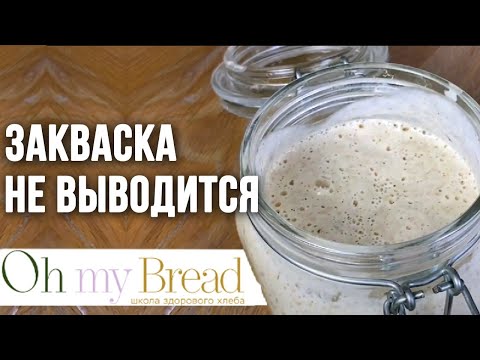 Закваска не выводится