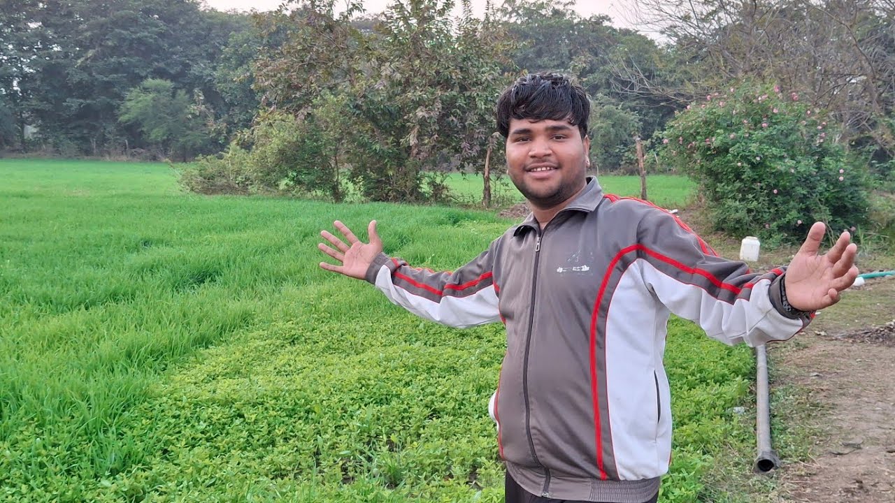 मेरे गाँव के खेत और मैं 🌿 | Anuj Kori Vlogs | Daily Lifestyle Vlogs 