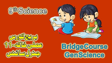 Bridge Course | 9th Science | Urdu Medium | Activity No.#12 | 2022-2023
