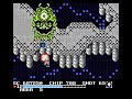 The Guardian Legend Secret Edition (NES) - TGL Mode Corridor 5