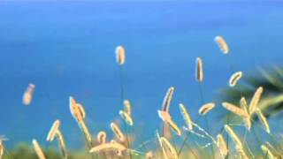 AutoTest: 20110621-0535-HD Quality (960x720)