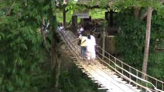 Best Hanging Bride Bohol Tagbilaran Philippines Best Hanging Bride Bohol Tagbilaran Philippines