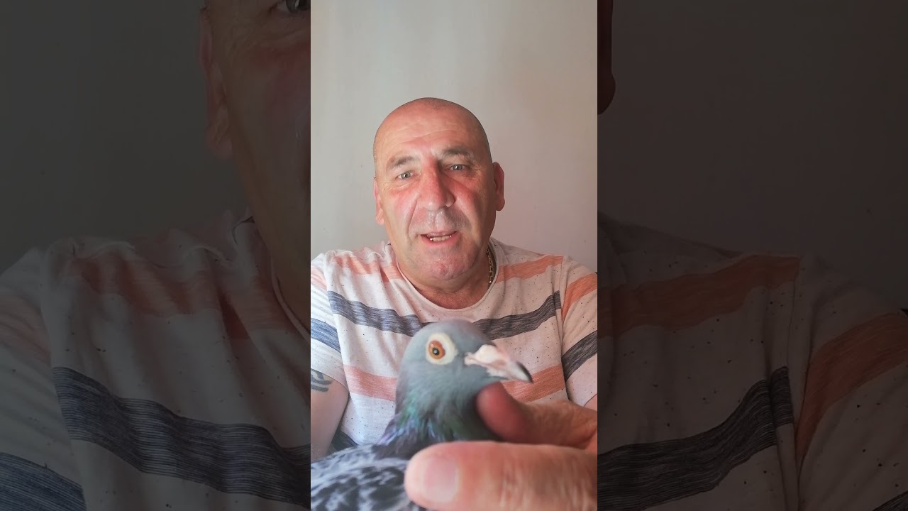 Azi sunt f. bucuros !!!