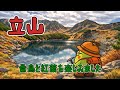 立山|雷鳥と紅葉を楽しみました🍁