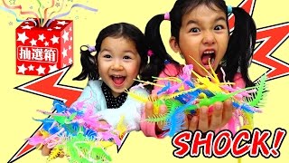 SHOCK!!ゲテモノくじ引き！当たりはリアル蛙と蝙蝠＞o＜himawari-CH