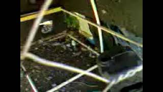 Microdot Reject Chick In Duck House