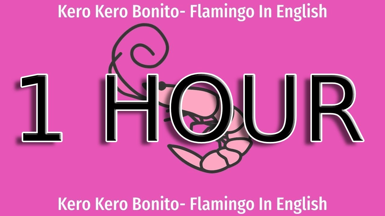 1 HOUR Flamingo  (English Version)  +Lyrics