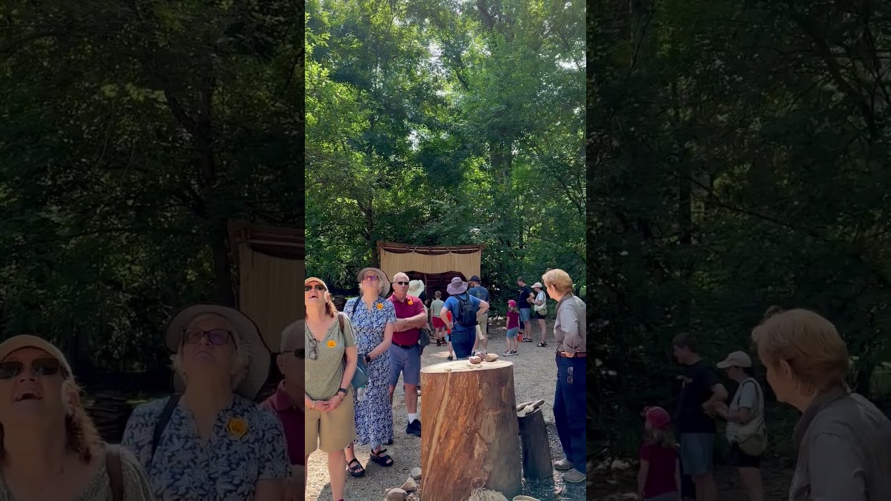 Explore the Powhatan way of life in the recreated Paspahegh Village at the Jamestown Settlement 2025