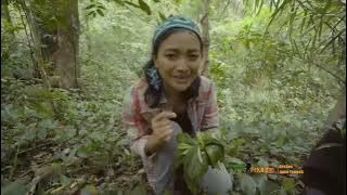 Shelly Lunggaer Mencari Daun Rende | JEJAK PETUALANG (18/01/22)