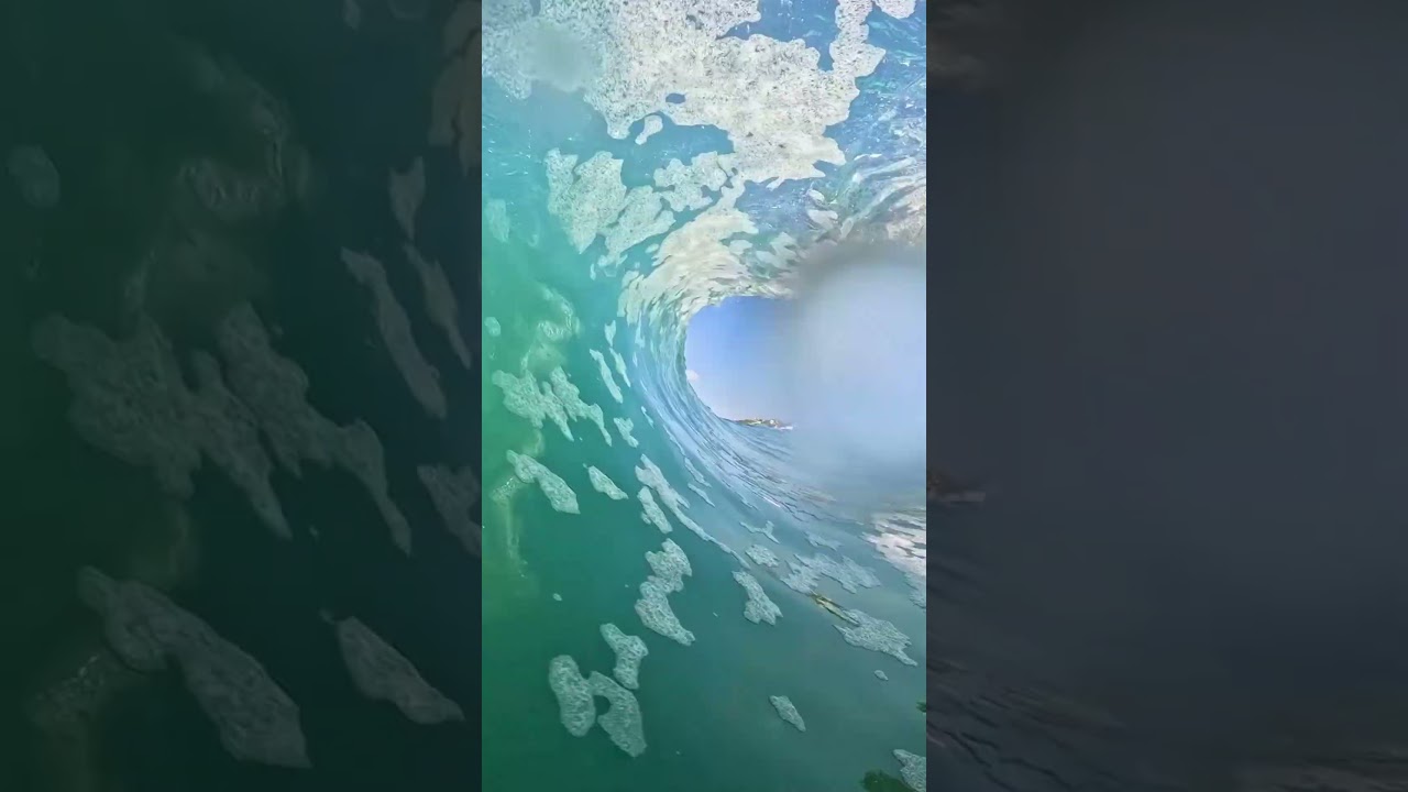 Clips