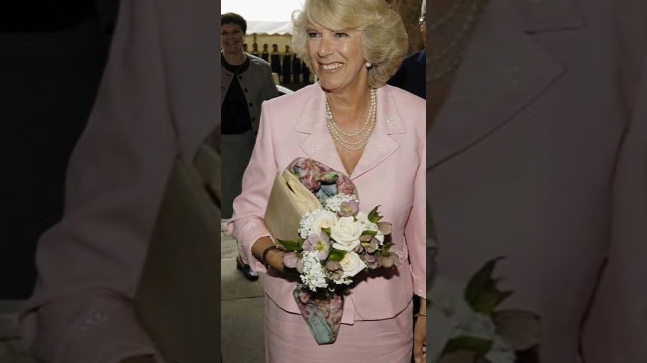 Queen Camilla Stripped £359K Annual State Allowance Her Predecessor Received
