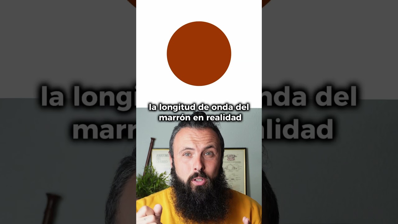 El color marrón no existe 