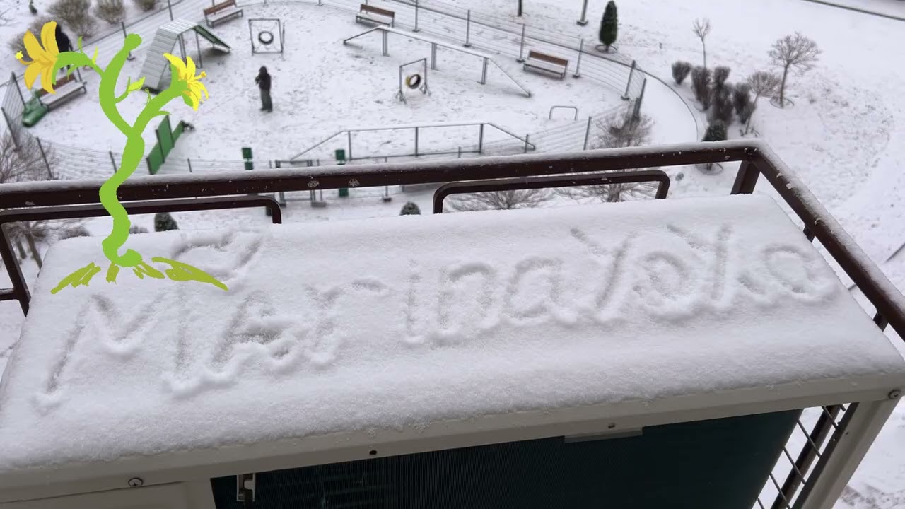 Today's mood: Dreaming of flowers, living in snow ☁️🌸