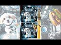 Spot the Difference #37 🌎 Astronaut #Maltese puppy in the spacecraft
