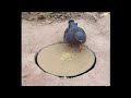 超絶バランスからの帰宅