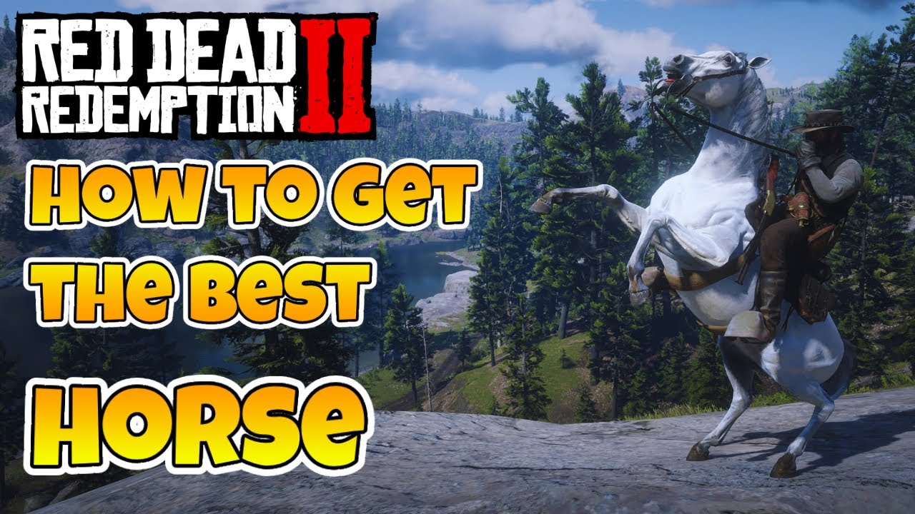 Red Dead Redemption 2 How To Get The White Arabian Horse | How To Tame ...